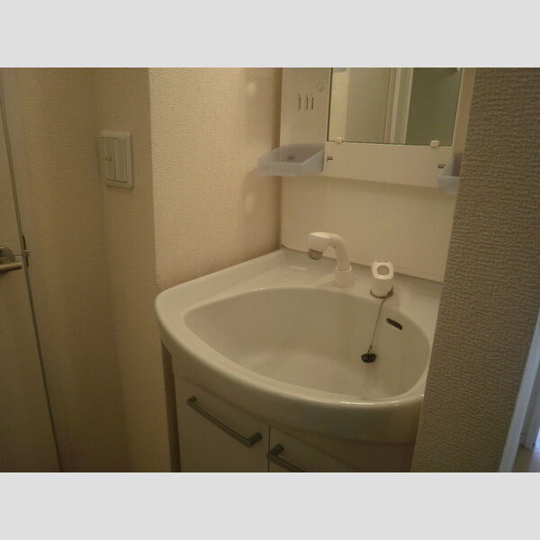 洗面所 (洗髪洗面化粧台です)
