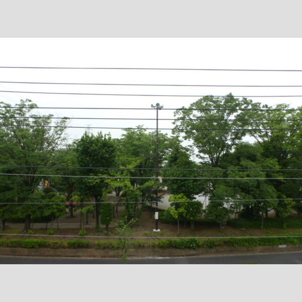 現地周辺 (バルコニーからの眺望)