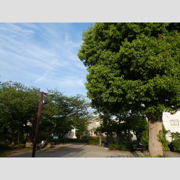 現地周辺 (喜沢第一公園)