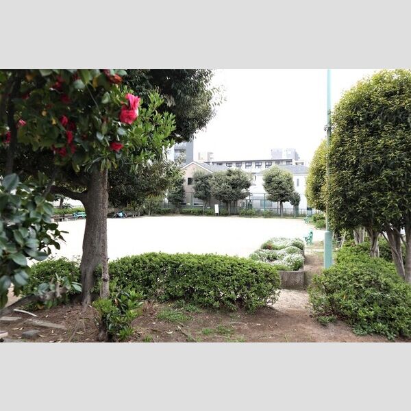 現地周辺 (青三南公園 徒歩1分、67m)