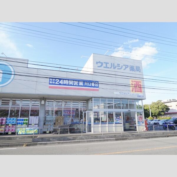 現地周辺 (ウェルシア川口峯店)