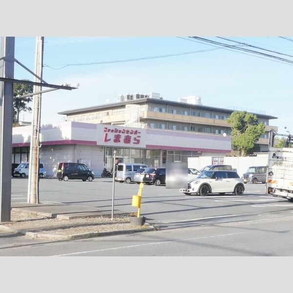 現地周辺 (しまむら峯店)