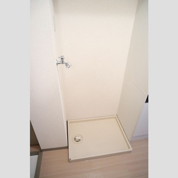 その他 (室内洗濯機置場)