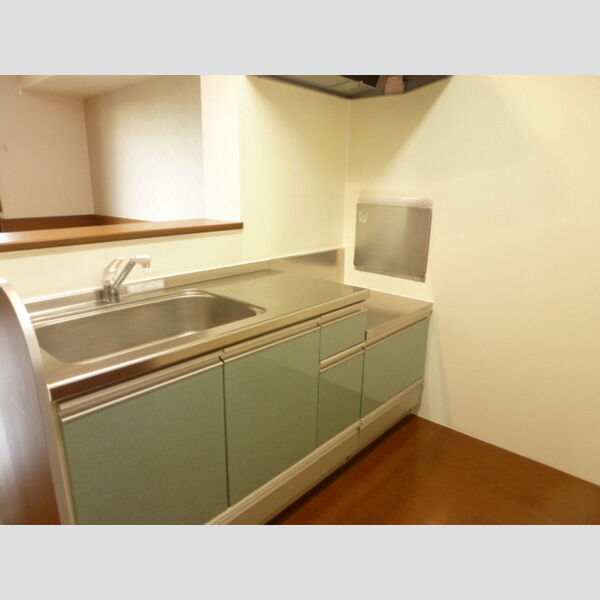 キッチン (対面キッチン)