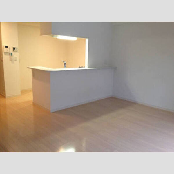 居室・リビング (LDKと、対面キッチン)