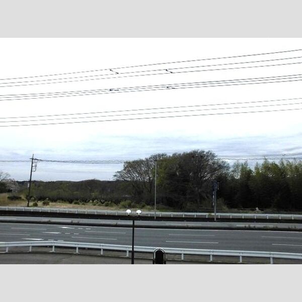 現地周辺 (眺望)