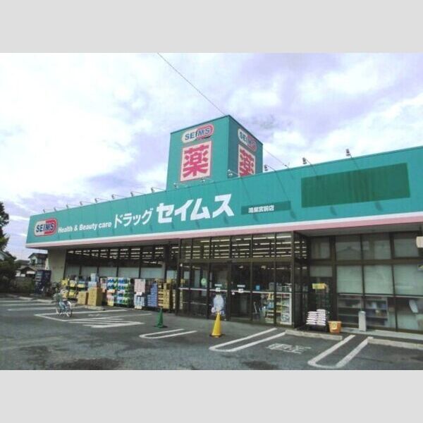 現地周辺 (ドラッグストアまで666m)