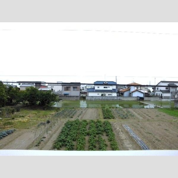 現地周辺 (お部屋からの眺め)