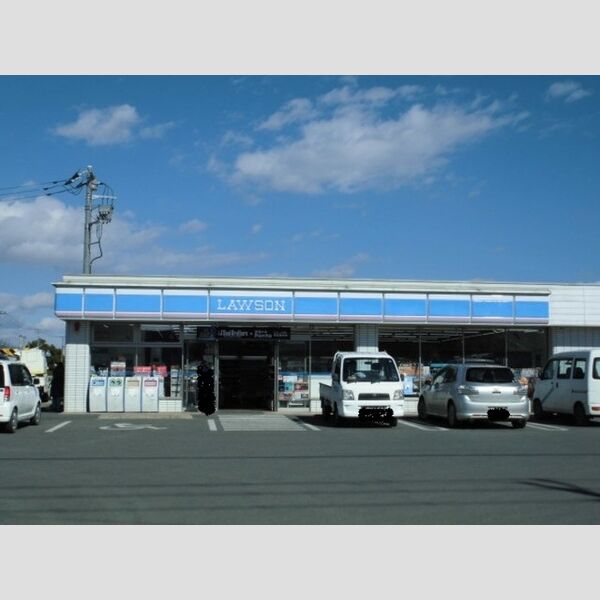 現地周辺 (ローソン本庄小島店)
