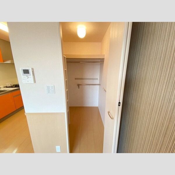 収納 (ウォークインクローゼット)