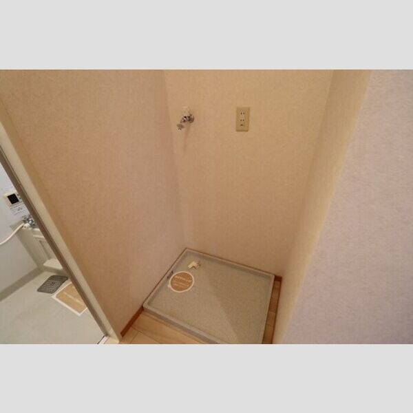 洗面所 (室内洗濯機置き場)