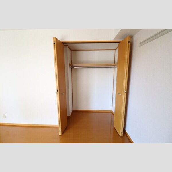 収納 (南側洋室クローゼット)