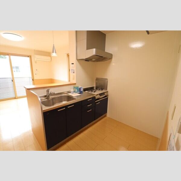 キッチン (対面キッチン)