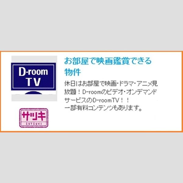 その他 (ビデオオンデマンド付)