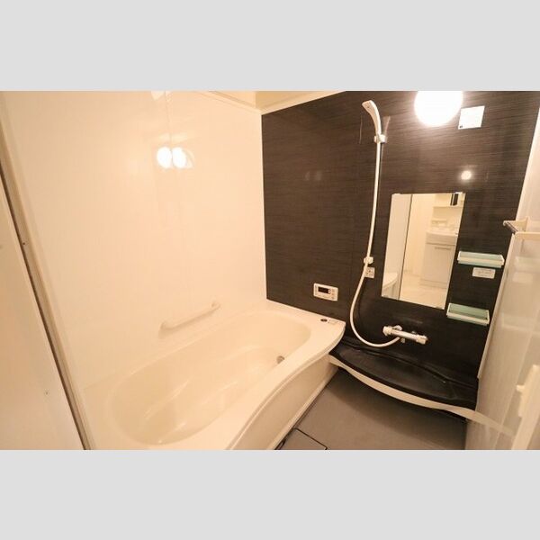 バス (追い焚き機能付き一坪風呂)