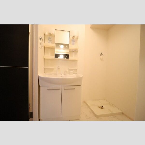 洗面所 (洗髪洗面化粧台)