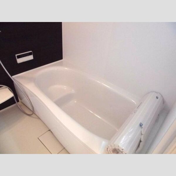 バス (追い焚き機能付き一坪風呂)