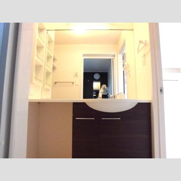 洗面所 (洗髪洗面化粧台)