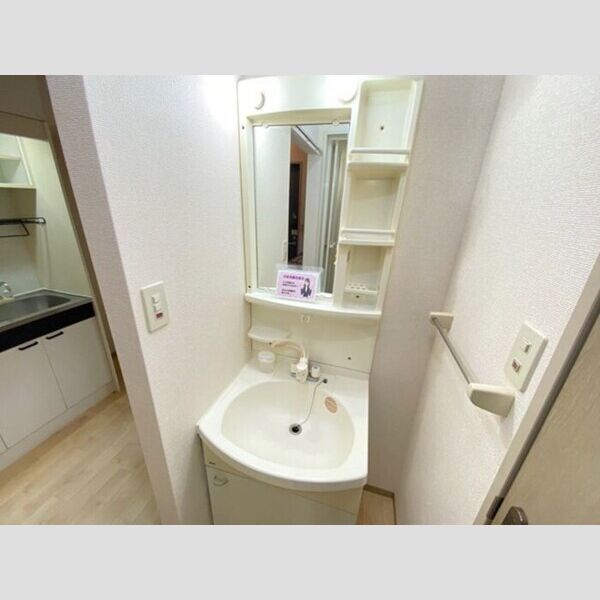 洗面所 (洗髪洗面化粧台)