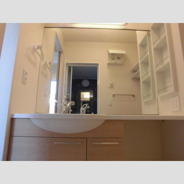 洗面所 (洗髪洗面化粧台)