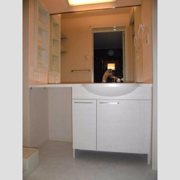 洗面所 (洗髪洗面化粧台)