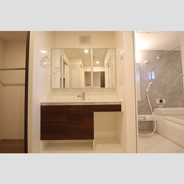 洗面所 (洗髪洗面化粧台)