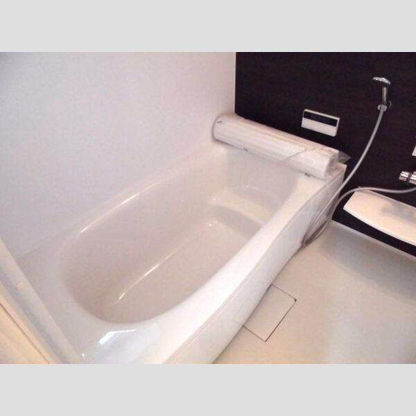 バス (追い焚き機能付き一坪風呂)