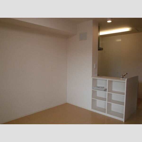 居室・リビング (LDK(カウンター収納棚))