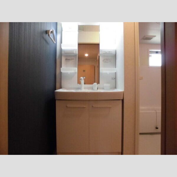 洗面所 (洗髪洗面化粧台)