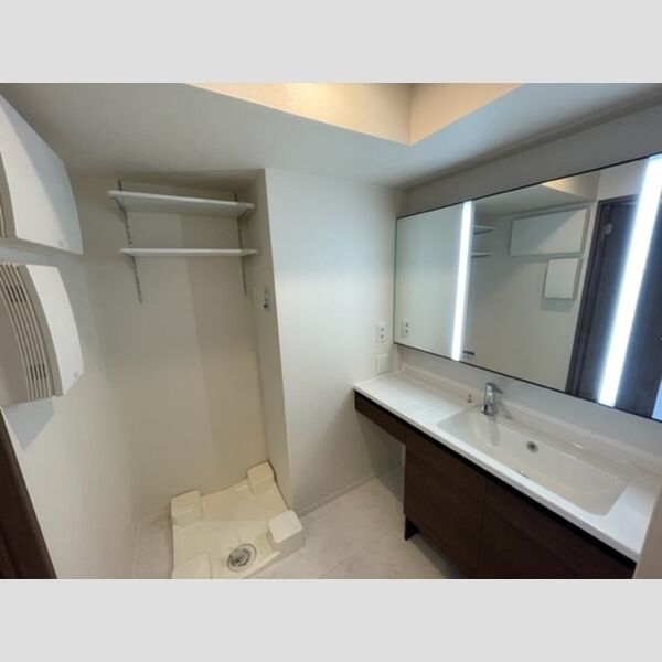 洗面所 (洗髪洗面化粧台)