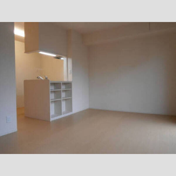 居室・リビング (105LDK)