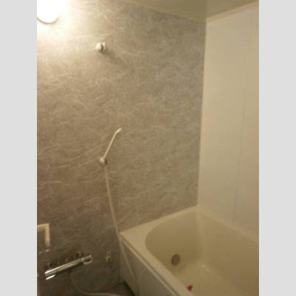 バス (グラン.ドムール上福岡205 浴室)