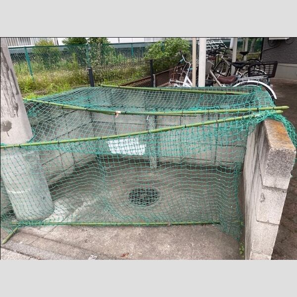 現地周辺 (ゴミ置き場)