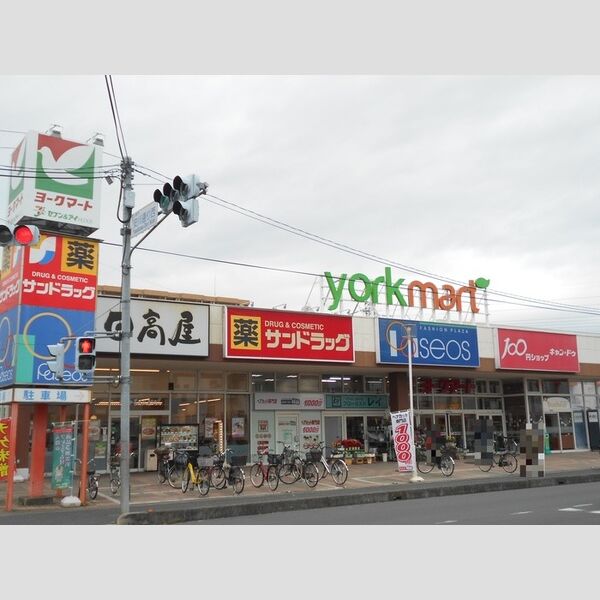 現地周辺 (ヨークマート入間店)