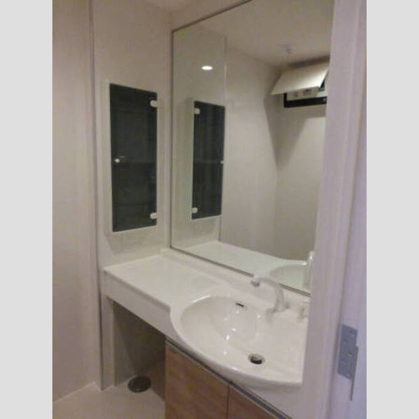 現地周辺 (洗髪洗面化粧台)