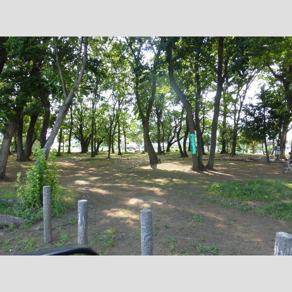 現地周辺 (公園)