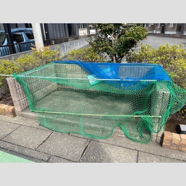 現地周辺 (ゴミ置き場)