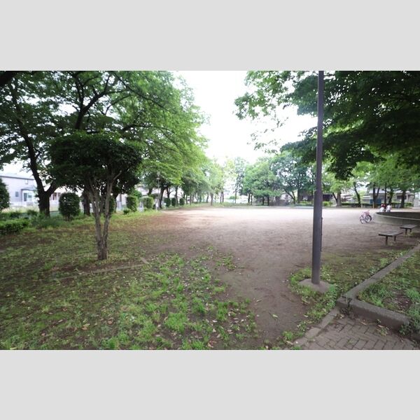 現地周辺 (原中公園)