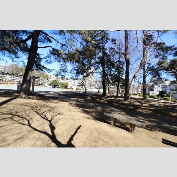 現地周辺 (北野公園　300M)