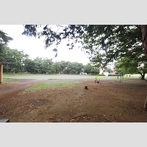 現地周辺 (緑町中央公園　400m)