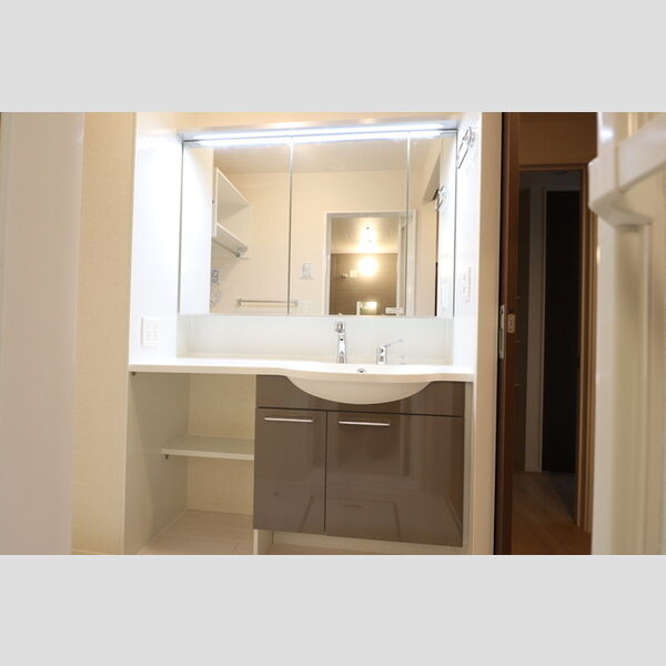 洗面所 (洗髪洗面化粧台)