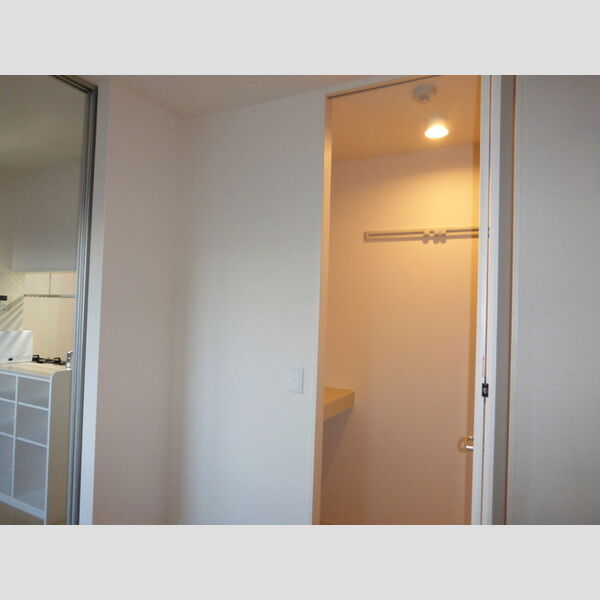 収納 (ウォークインクローゼット)