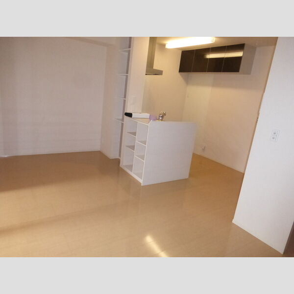 居室・リビング (LDK)