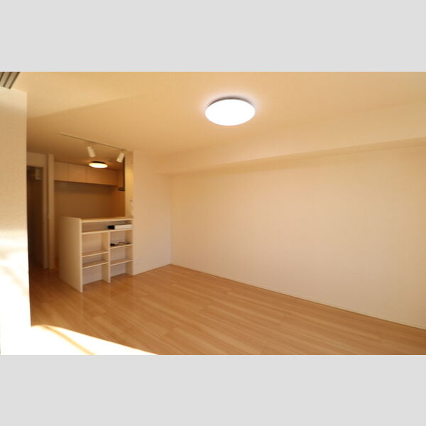 居室・リビング (LDK)