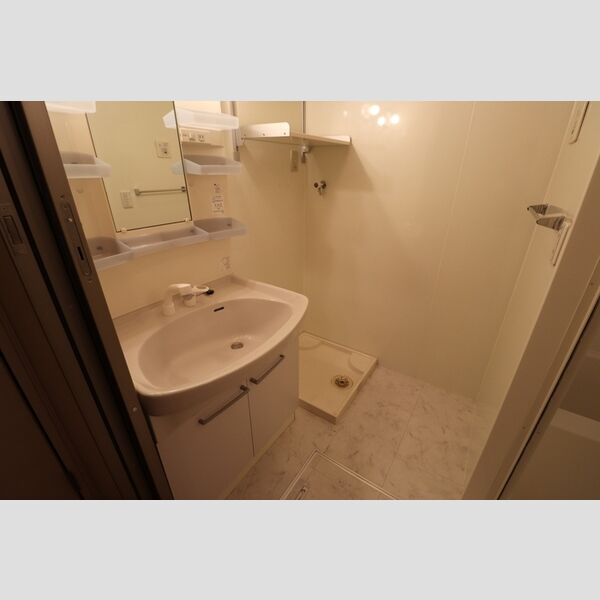 洗面所 (洗面所)