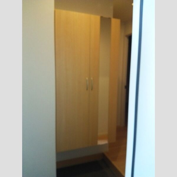 玄関 (シューズボックス)