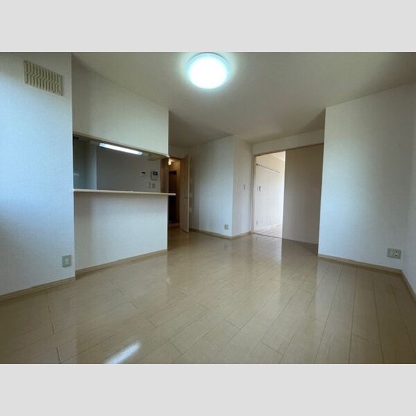 居室・リビング (居室:LDK)