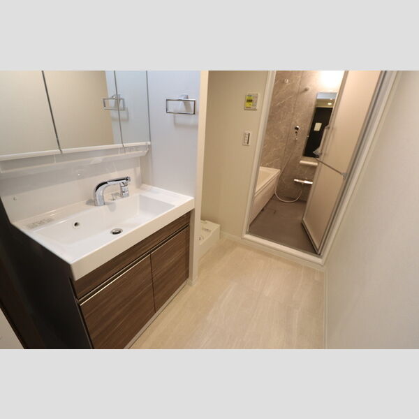 洗面所 (洗髪洗面化粧台)