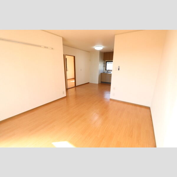 居室・リビング (LDK)