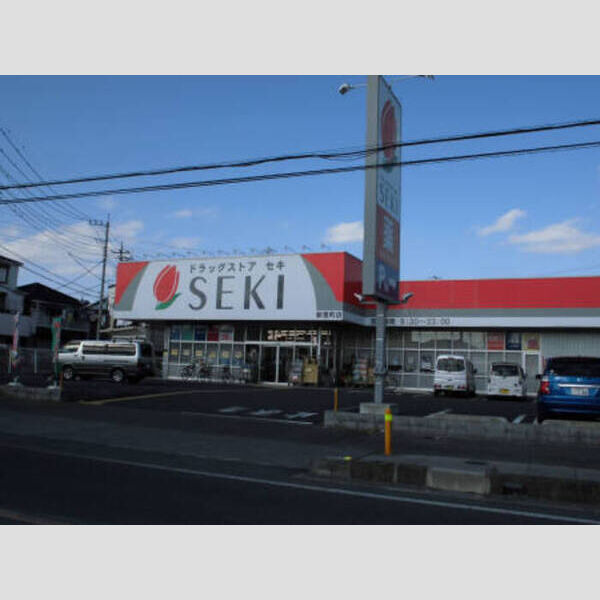 現地周辺 (ドラックストア セキ)